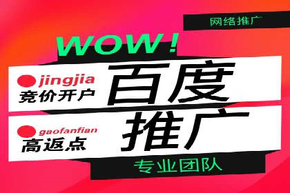 探索SEM服务托管的未来趋势及发展案例